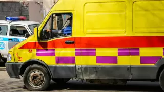 Ребенка с укусами животного нашли мертвым в Актобе