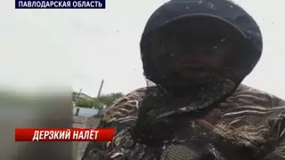 Полчища кровососов загоняют людей в дома и убивают животных в Павлодарской области