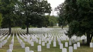 Мужчину оштрафовали за цветы на могиле его невесты