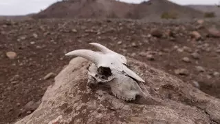 Знаменитое озеро в Чили превращается в пустыню