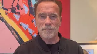 Шварценеггер призвал отказаться от топлива из России: "На наших руках кровь"