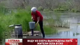 Жители села много лет пьют воду из озера в СКО