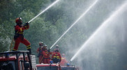 Лесные пожары охватили Европу