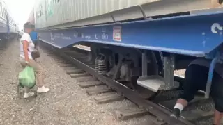 Перелезающих под поездом туристов сняли на видео на Алаколе