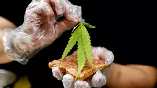 В Таиланде за две недели после легализации марихуаны 9 человек попали в больницу