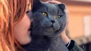 Ученые зафиксировали первый случай заражения человека COVID-19 от кошки