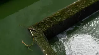 Экономичную систему очистки сточных вод разработали в Бразилии