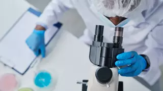 Новый способ лечения гепатита Е нашли ученые