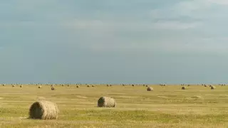 1,5 миллиона гектаров находится в руках 30 человек - депутат о земле в Алматинской области