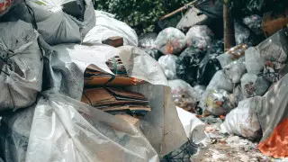 Почему Шымкент "утопает в мусоре", ответил аким Айтенов