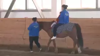 Бесплатные курсы иппотерапии могут посещать две тысячи детей в Актобе