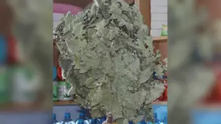 Жителей ЗКО оштрафовали на миллион тенге за банные веники