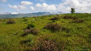 Дожди и жара до 37 градусов: погода на 3 дня в Казахстане