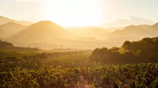 Португалия и Испания страдают от сильнейшей за 1200 лет засухи - исследование