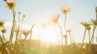 "Даже на севере 35 градусов". Сильная жара придет в Казахстан