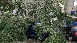 Последствия разгула стихии в Костанае: снесены заборы, рекламные щиты и даже балконы