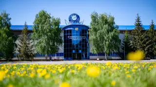 Начался прием документов на программы Университета Аризоны в Петропавловске