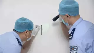 Убитый на месте преступления комар помог установить грабителя в Китае