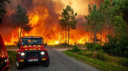 В Испании и Португалии из-за жары погибли около 600 человек