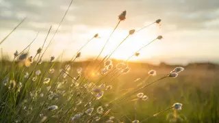 Какая погода ожидает казахстанцев 17 июля