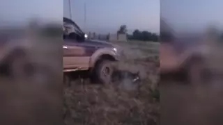 Министр экологии о наезде на лошадь: Не можем заниматься каждым случаем