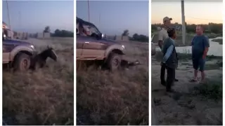 Задавившего лошадь мужчину арестовали на 10 суток