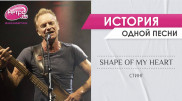 Почему хит Shape of My Heart Стинга - совсем не о любви
