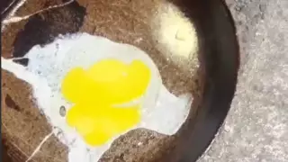 Яичницу пожарили на раскаленном асфальте в Туркестане