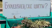 "Булекбаев, где цветы?": надпись у засохшего цветочного вазона прокомментировали в Караганде
