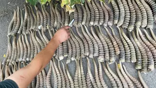 Полицейские изъяли полтонны рогов сайги у жителей Алматинской области