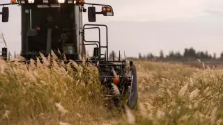 Льготную программу для сельхозтехники запускают в Казахстане: названы условия