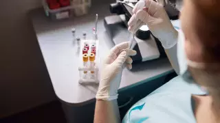 Случаев заражения вирусом "Ланъя" в Казахстане нет - МВК