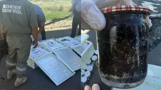 100 килограммов черной икры пытались вывезти из Казахстана в Россию