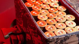 Ножи, электрошокеры, боеприпасы: КНБ рассказал об изъятом оружии на границе