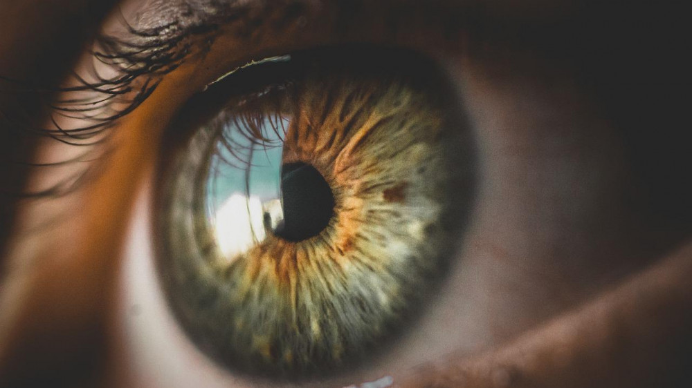 Биоинженеры создали имплантаты для восстановления зрения