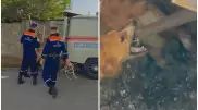 Спасение собаки из канализационного люка в Алматы сняли на видео