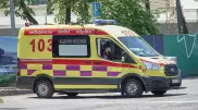 Годовалый малыш погиб под колесами микроавтобуса в Алматинской области