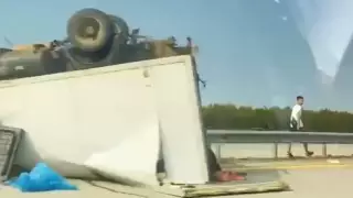 Разбросанное на дороге мясо после ДТП напугало казахстанцев