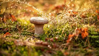 Дожди и заморозки: прогноз погоды на 3 дня в Казахстане