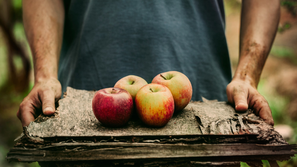 Чем опасно переедание яблок, рассказала эксперт