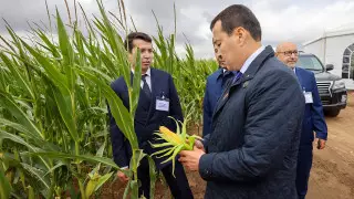 Премьер Смаилов предложил создать зеленый пояс вокруг Павлодара