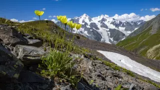Сколько тратят на развитие туризма в ВКО