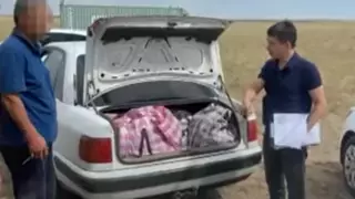 Машину с сотнями рогов сайгаков в багажнике остановили в Улытауской области