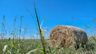 Потепление прогнозируют в Казахстане