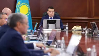 "Слабое финансирование". Премьер заявил о риске недостижения показателя по деревьям