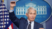 "Архитектор" борьбы с коронавирусом в США решил уйти в отставку