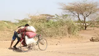 Кенийцы подали в суд на правительство Британии за колониальные преступления