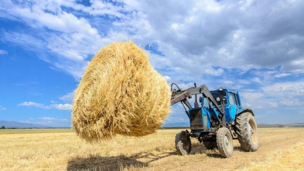 В Атырауской области прокомментировали задержку по заготовке кормов