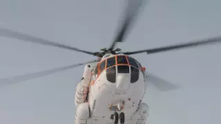 Мертвую рыбу на побережье Каспия ищут вертолетом