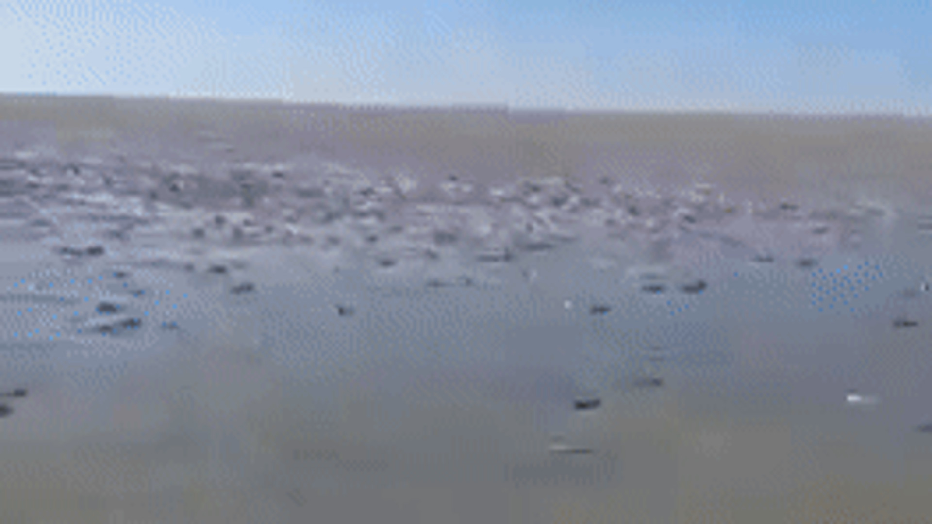 рыбы на каспийском море